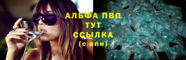 дмт Нея